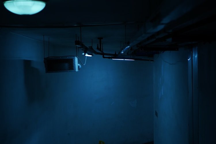 喜番短剧官网 - 死者笔记